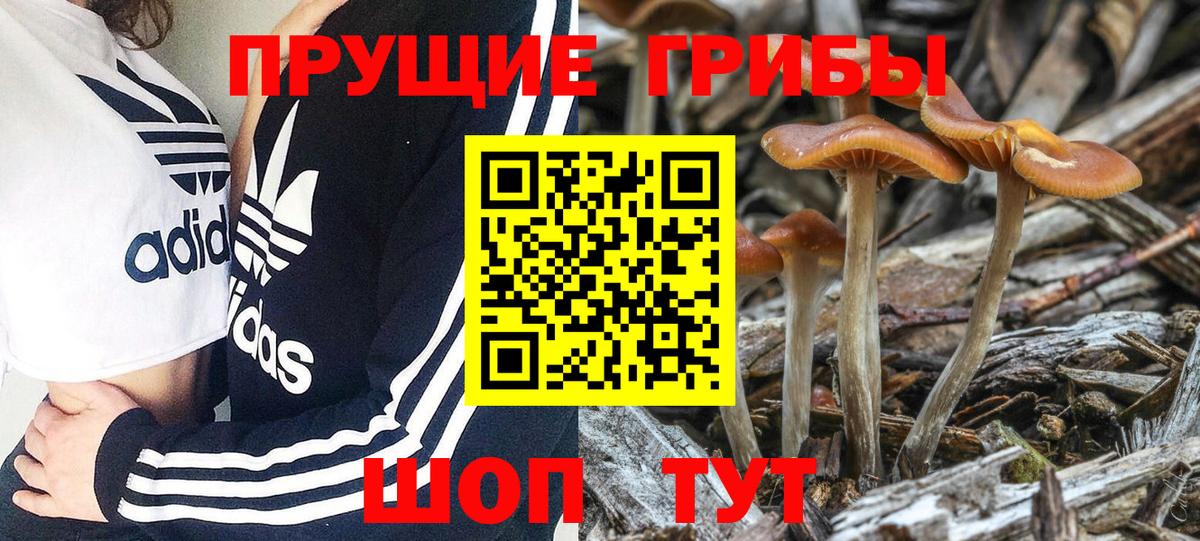 Галлюциногенные грибы MAGIC MUSHROOMS Белово