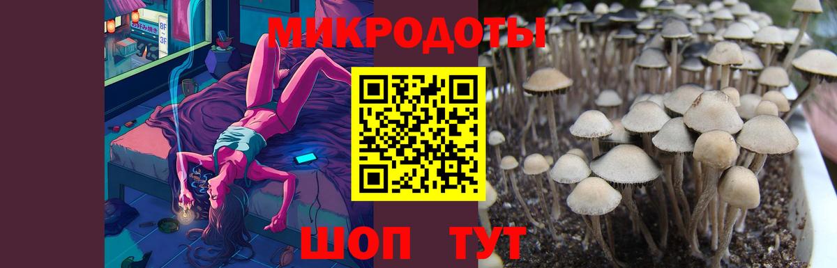 Галлюциногенные грибы прущие грибы  купить наркотики цена  Белово  Вход с VPN 